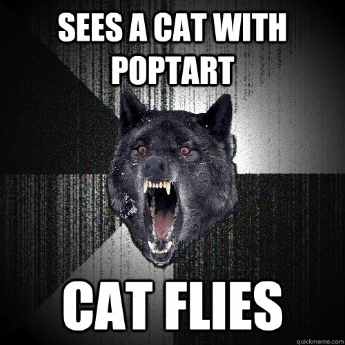 Sees a cat with poptart CAT FLIES  Insanity Wolf