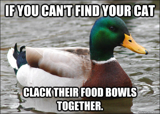 If you can't find your cat Clack their food bowls together.  Actual Advice Mallard