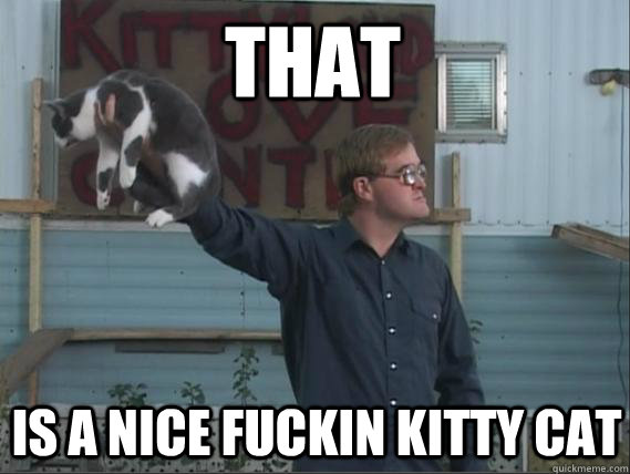 THAT is a nice fuckin kitty cat - THAT is a nice fuckin kitty cat  Bubbles knows