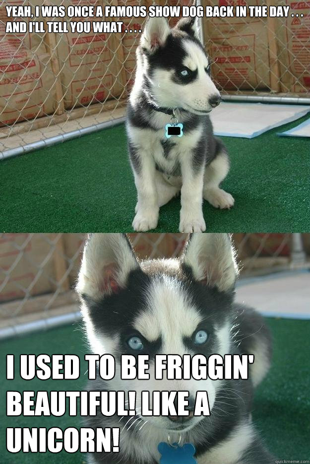 Yeah, I was once a famous show dog back in the day . . . And I'll tell you what . . . . I USED TO BE FRIGGIN' BEAUTIFUL! Like a unicorn!  Insanity puppy