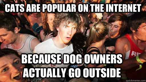 cats are popular on the internet because dog owners actually go outside  Sudden Clarity Clarence