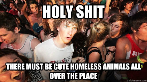 Holy shit there must be cute homeless animals all over the place  Sudden Clarity Clarence
