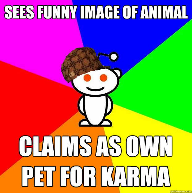 Sees funny image of animal Claims as own pet for karma  Scumbag Redditor