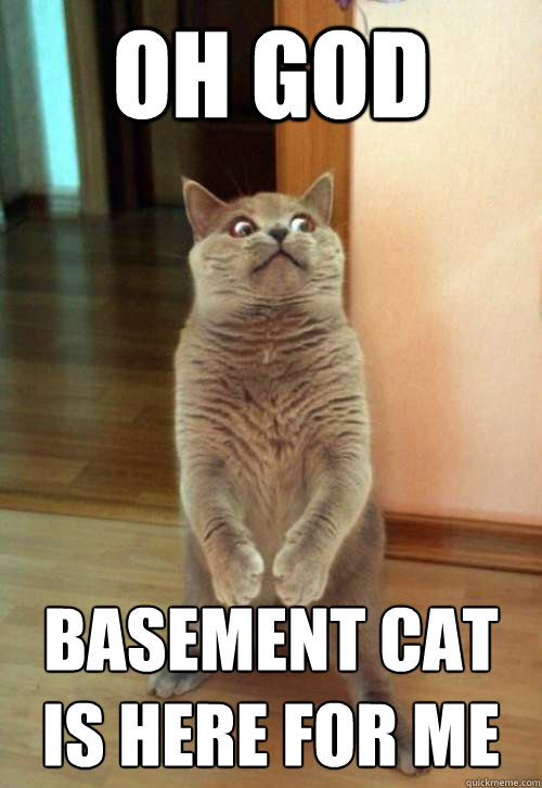 Oh god Basement cat is here for me - Oh god Basement cat is here for me  Horrorcat
