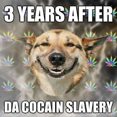 3 years after da cocain slavery  Stoner Dog