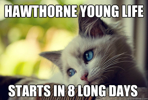 hawthorne young life  starts in 8 long days  First World Problems Cat
