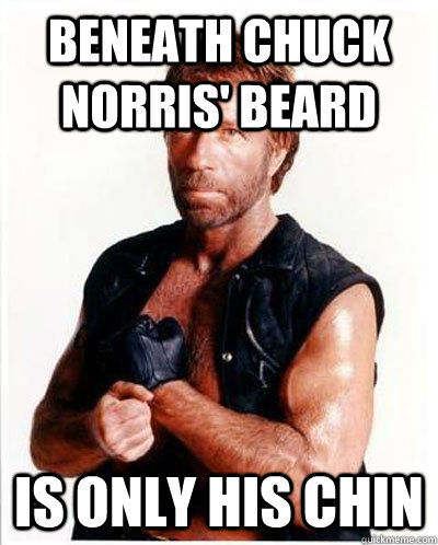 Beneath Chuck Norris' beard is only his chin  Anti-Chuck Norris Facts