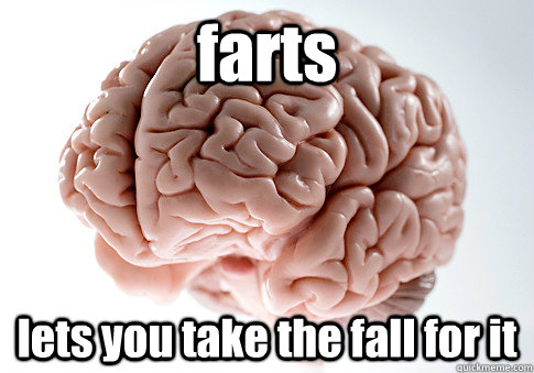 farts lets you take the fall for it  Scumbag Brain