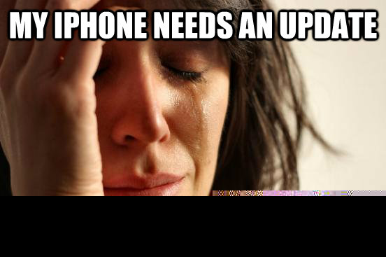 my iphone needs an update but i don't have enough storage  First World Problems