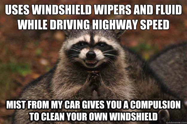 Uses Windshield Wipers and Fluid while driving highway speed mist from my car gives you a compulsion to clean your own windshield - Uses Windshield Wipers and Fluid while driving highway speed mist from my car gives you a compulsion to clean your own windshield  Evil Plotting Raccoon