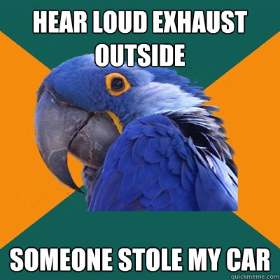 hear loud exhaust outside someone stole my car - hear loud exhaust outside someone stole my car  Paranoid Parrot