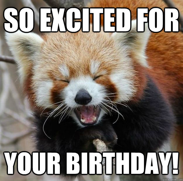 So excited for Your Birthday!  Red panda