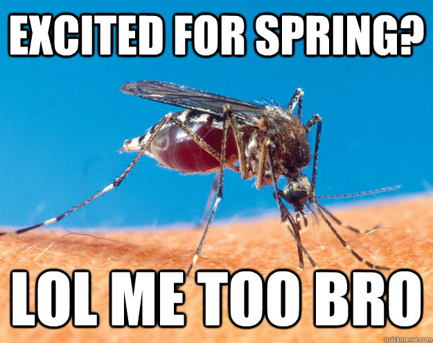 excited for spring? lol me too bro  mosquito