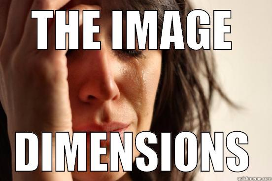 THE IMAGE DIMENSIONS First World Problems