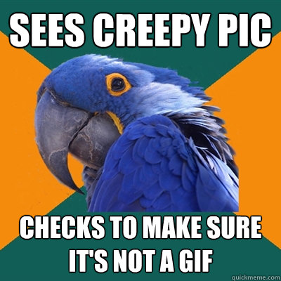 Sees creepy pic Checks to make sure it's not a gif  Paranoid Parrot