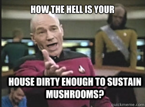 How The Hell is your  House dirty enough to sustain Mushrooms?  Annoyed Picard