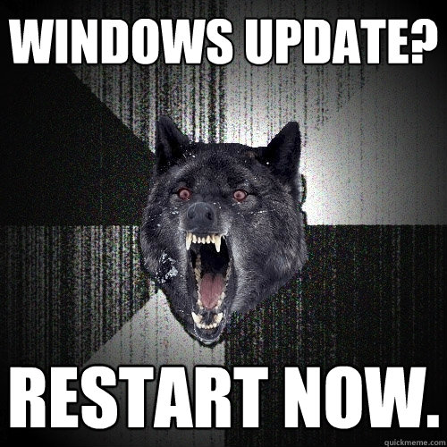 windows update? restart now.  Insanity Wolf