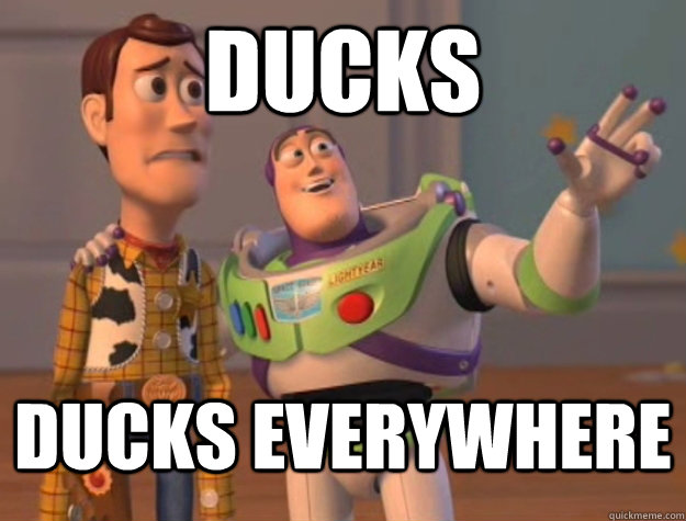 Ducks ducks everywhere  Buzz Lightyear