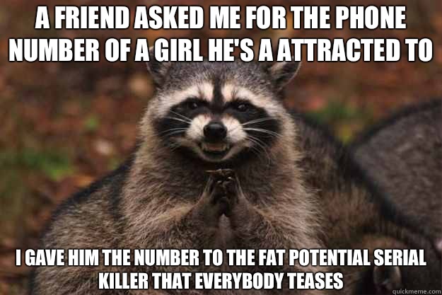 A friend asked me for the phone number of a girl he's a attracted to I gave him the number to the fat potential serial killer that everybody teases  Evil Plotting Raccoon