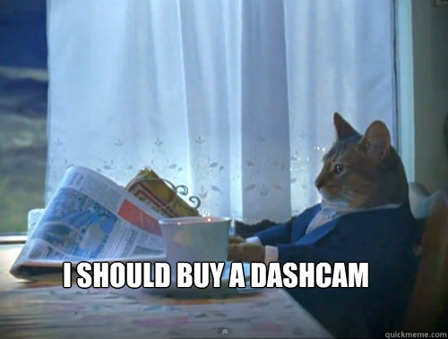  I SHOULD BUY A DASHCAM  The One Percent Cat