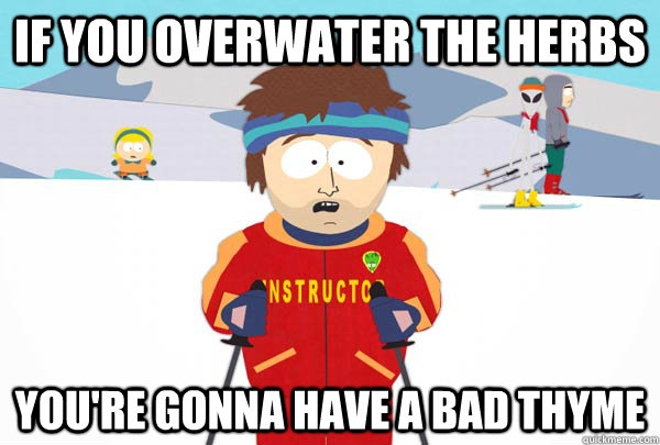 If you overwater the herbs You're gonna have a bad thyme  Super Cool Ski Instructor