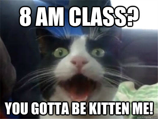 8 AM class? You gotta be kitten me!  Amazed Cat