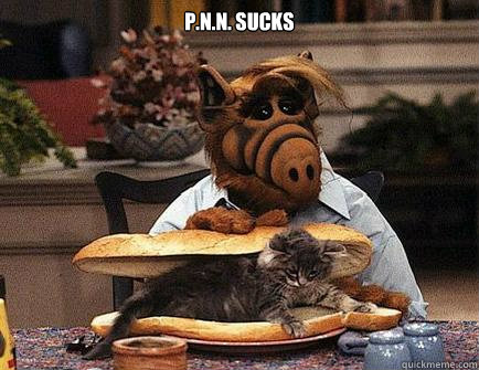 P.N.N. sucks  - P.N.N. sucks   Alf Cat Killer