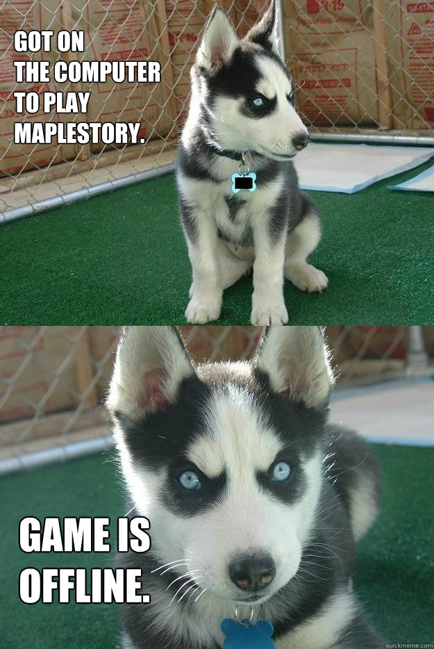 Got on 
the computer
to play 
Maplestory. 
 Game is 
OFFLINE.  Insanity puppy