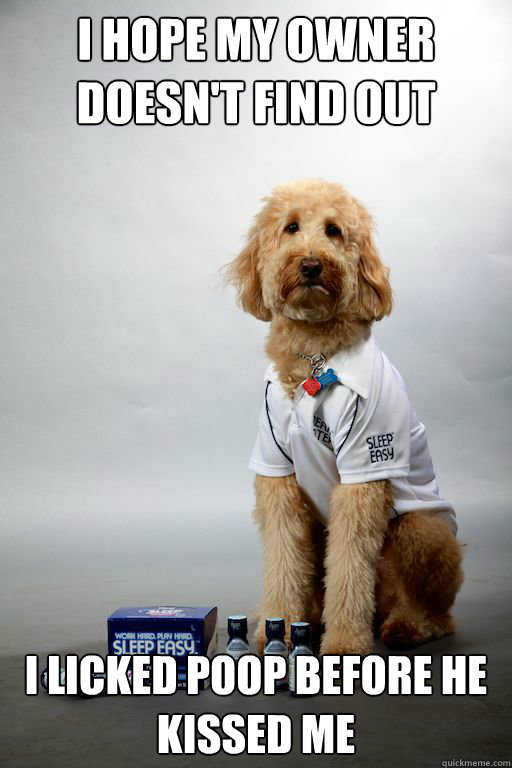I hope my owner doesn't find out I licked poop before he kissed me  