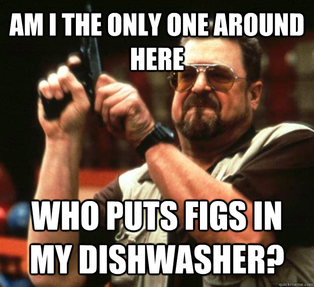AM I THE ONLY ONE AROUND HERE Who puts figs in my dishwasher?  Angry Walter