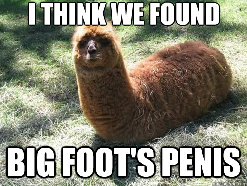 i think we found Big Foot's penis - i think we found Big Foot's penis  Alpacapillar