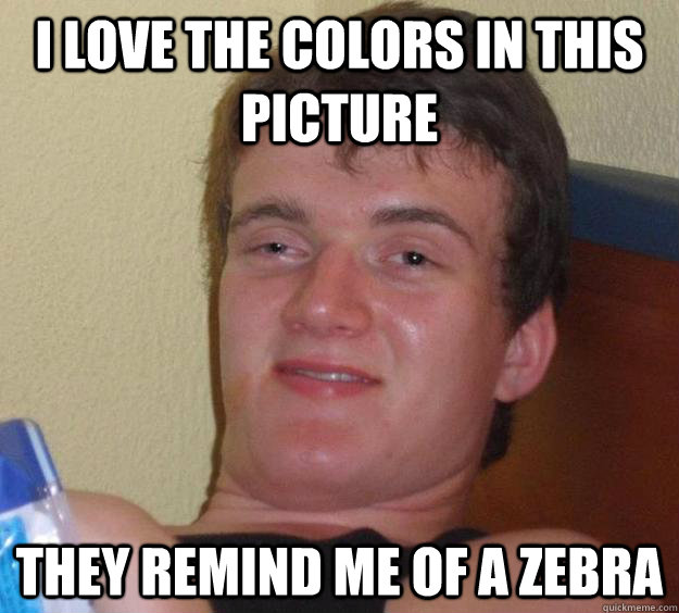 I love the colors in this picture they remind me of a zebra  10 Guy