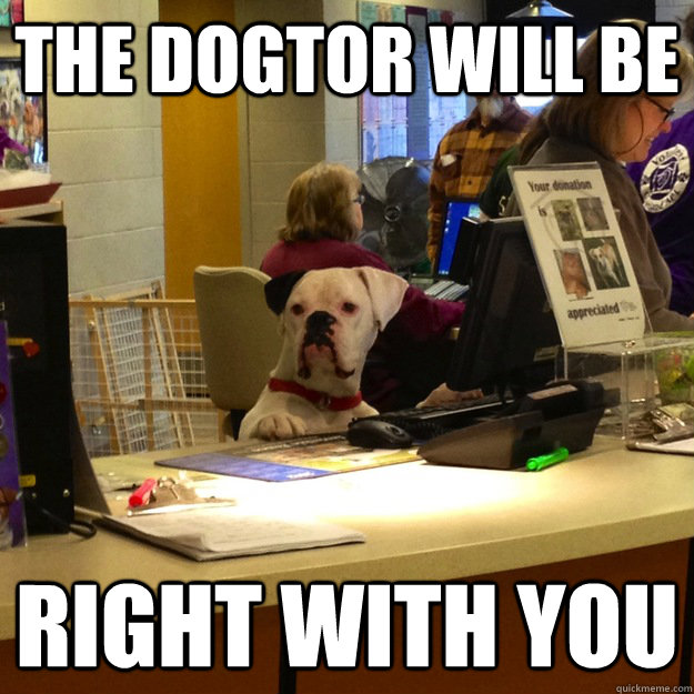 the dogtor will be  right with you  dogtor