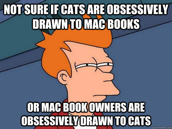 Not sure if cats are obsessively drawn to mac books or mac book owners are obsessively drawn to cats - Not sure if cats are obsessively drawn to mac books or mac book owners are obsessively drawn to cats  Futurama Fry