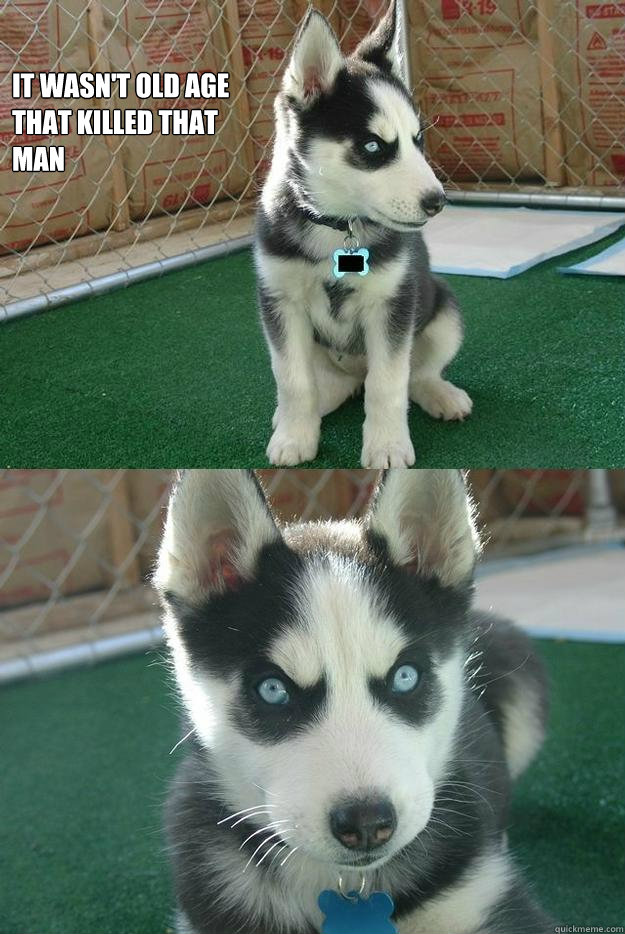 It wasn't old age 
that killed that
man   Insanity puppy