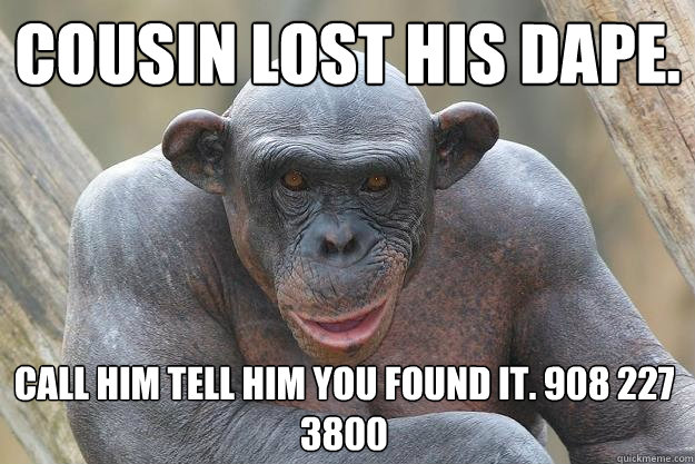 Cousin lost his dape. call him tell him you found it. 908 227 3800  The Most Interesting Chimp In The World