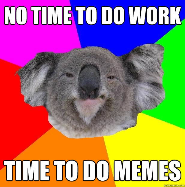 no time to do work time to do memes  Incompetent coworker koala