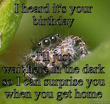 Birthday spider - I HEARD IT'S YOUR BIRTHDAY I'LL JUST WAIT HERE IN THE DARK SO I CAN SURPRISE YOU WHEN YOU GET HOME Misunderstood Spider