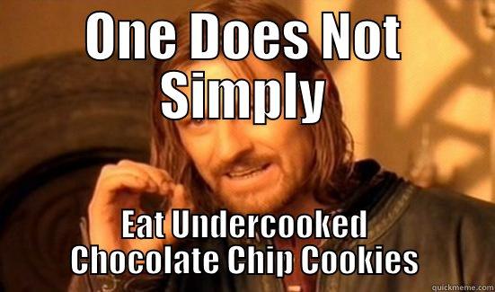 ONE DOES NOT SIMPLY EAT UNDERCOOKED CHOCOLATE CHIP COOKIES Boromir