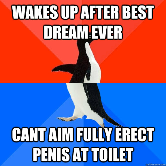 Wakes up after best dream ever cant aim fully erect penis at toilet - Wakes up after best dream ever cant aim fully erect penis at toilet  Socially Awesome Awkward Penguin