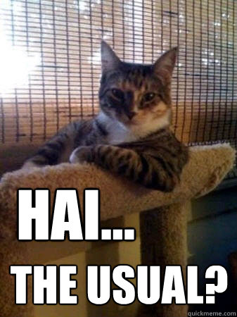 Hai... the usual?  The Most Interesting Cat in the World