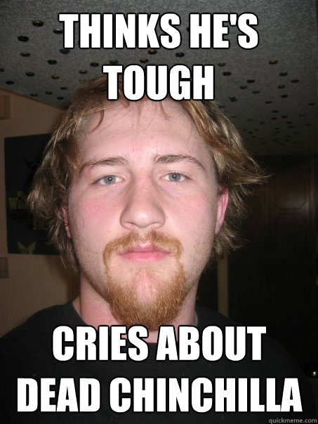 thinks he's tough cries about dead chinchilla - thinks he's tough cries about dead chinchilla  Larrys lament