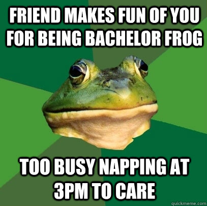 Friend makes fun of you for being Bachelor frog Too busy napping at 3pm to care  Foul Bachelor Frog