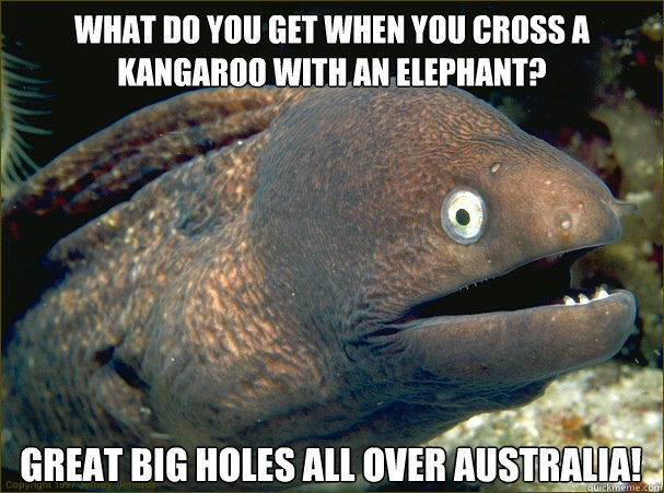 What do you get when you cross a kangaroo with an elephant? Great big holes all over Australia! - What do you get when you cross a kangaroo with an elephant? Great big holes all over Australia!  Bad Joke Eel