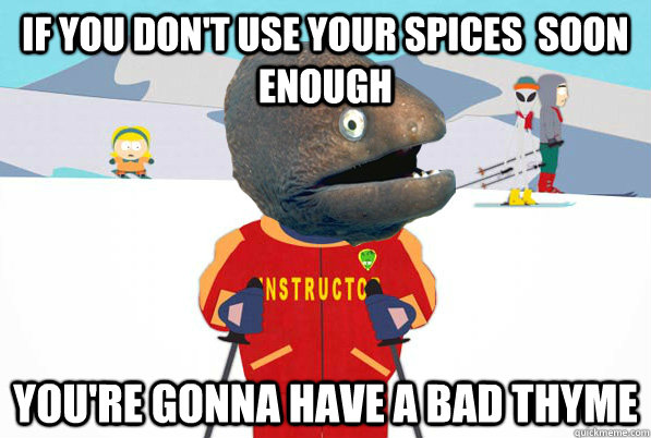 If you don't use your spices  soon enough you're gonna have a bad thyme - If you don't use your spices  soon enough you're gonna have a bad thyme  Bad Joke Ski Instructor