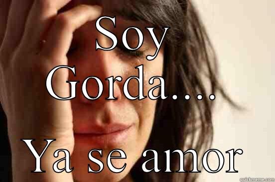 SOY GORDA.... YA SE AMOR First World Problems