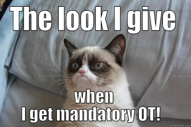 THE LOOK I GIVE WHEN I GET MANDATORY OT!   Grumpy Cat