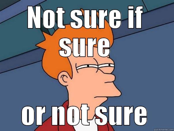 NOT SURE IF SURE OR NOT SURE Futurama Fry