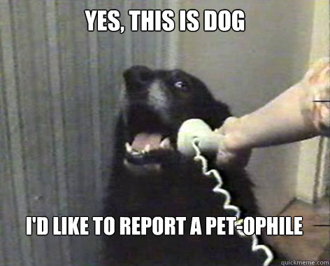 yes, this is dog I'd like to report a Pet-ophile  yes this is dog