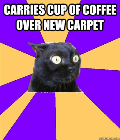 carries cup of coffee over new carpet   Anxiety Cat